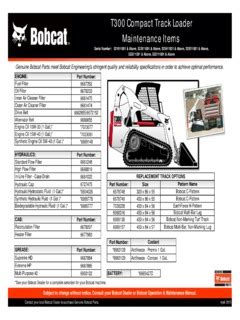 bobcat t300 engine specs